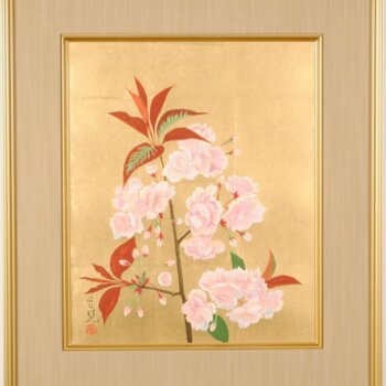 濱田台兒  櫻