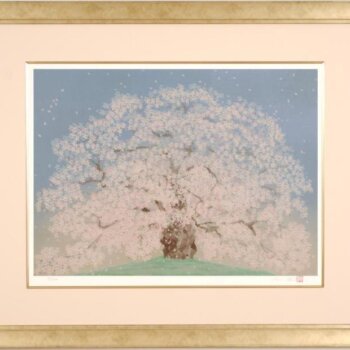 中島千波  醍醐桜